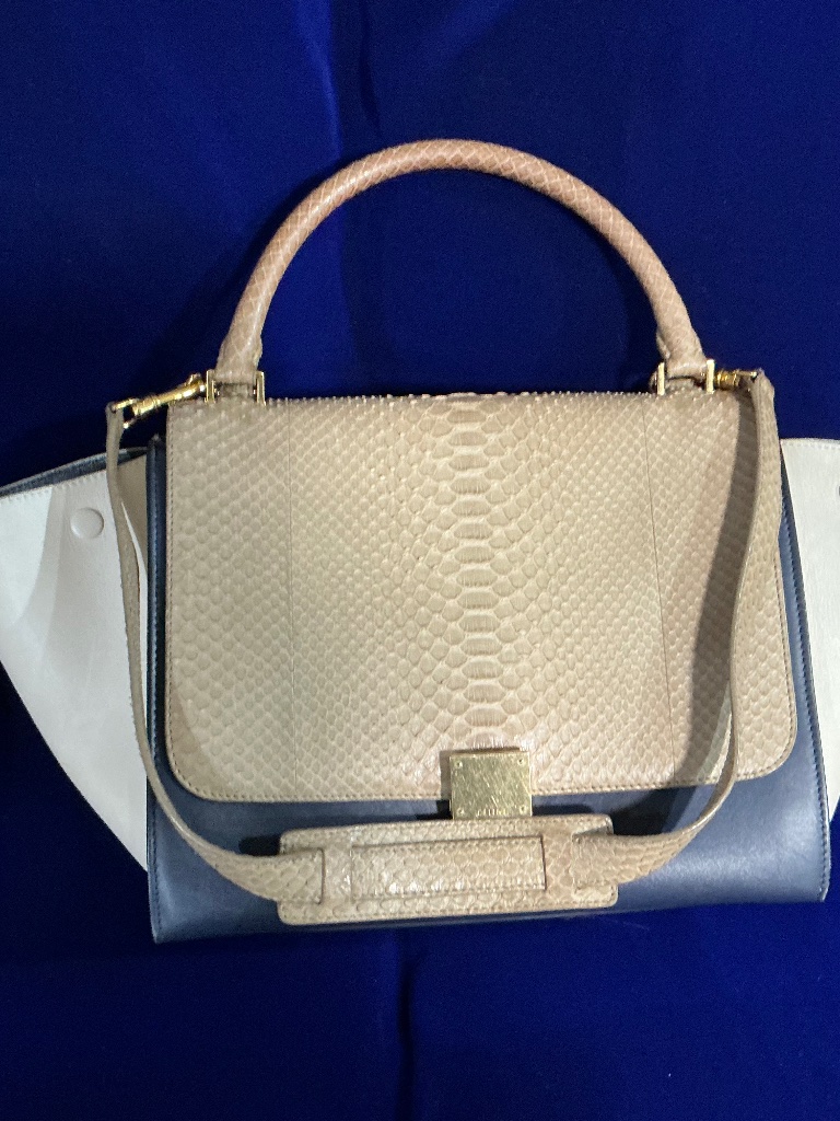 Celine Trapeze Medium Python Multi-Colored Shoulder Bag